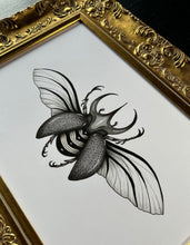 Load image into Gallery viewer, Hercules Beetle (unframed)