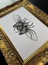 Load image into Gallery viewer, Hercules Beetle (unframed)