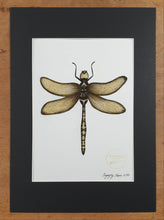 Load image into Gallery viewer, Dragonfly - Eleanor Blackwork
