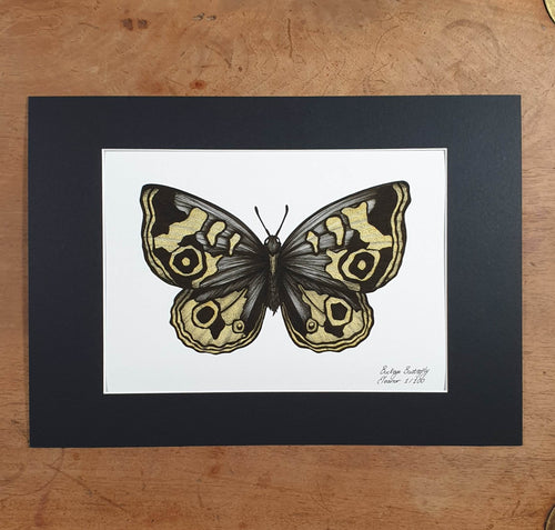 Buckeye Butterfly - Eleanor Blackwork