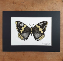 Load image into Gallery viewer, Not So Red Admiral - Eleanor Blackwork
