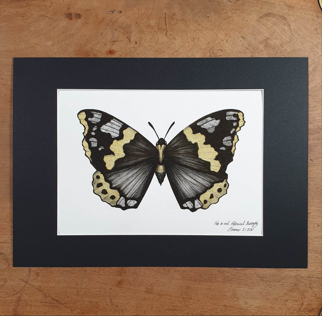 Not So Red Admiral - Eleanor Blackwork