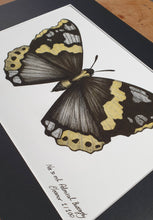 Load image into Gallery viewer, Not So Red Admiral - Eleanor Blackwork
