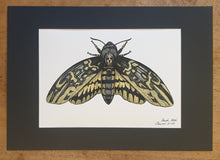 Load image into Gallery viewer, Deathmoth
