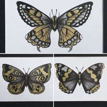 Load image into Gallery viewer, Butterflies - Eleanor Blackwork
